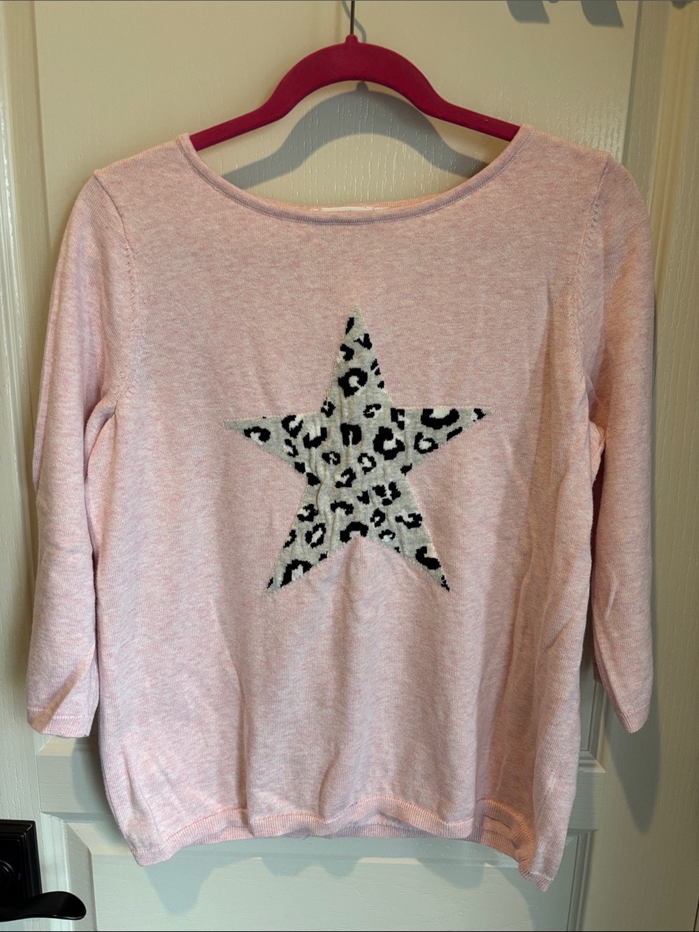 Ricky‘s pink sweater size large